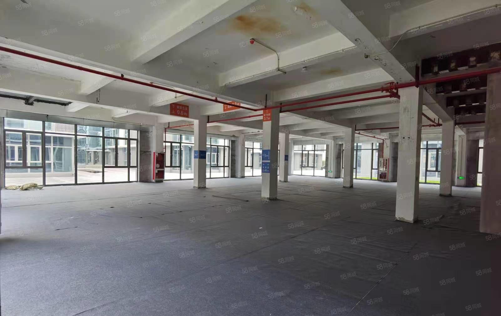 光明高新园区5000红本厂房出租大小分租