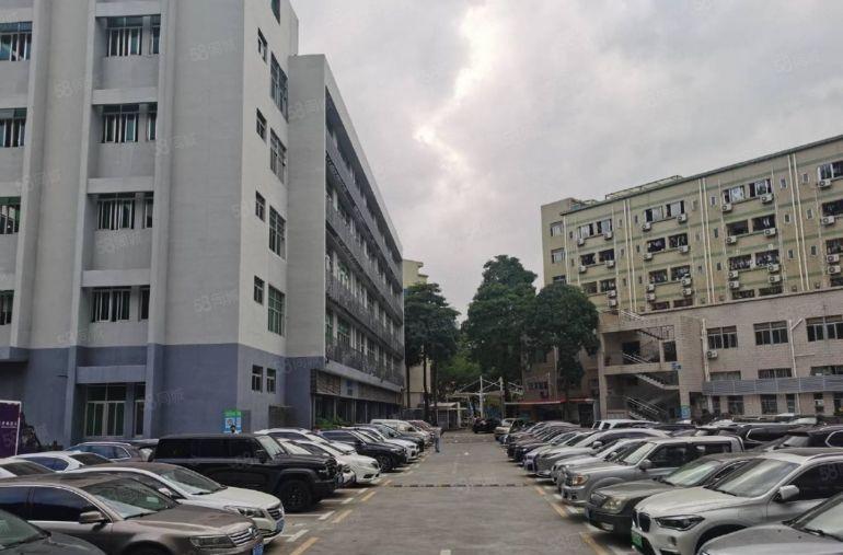 特价39南山西丽双地铁口 260平 可配办公家具出租拎包入住