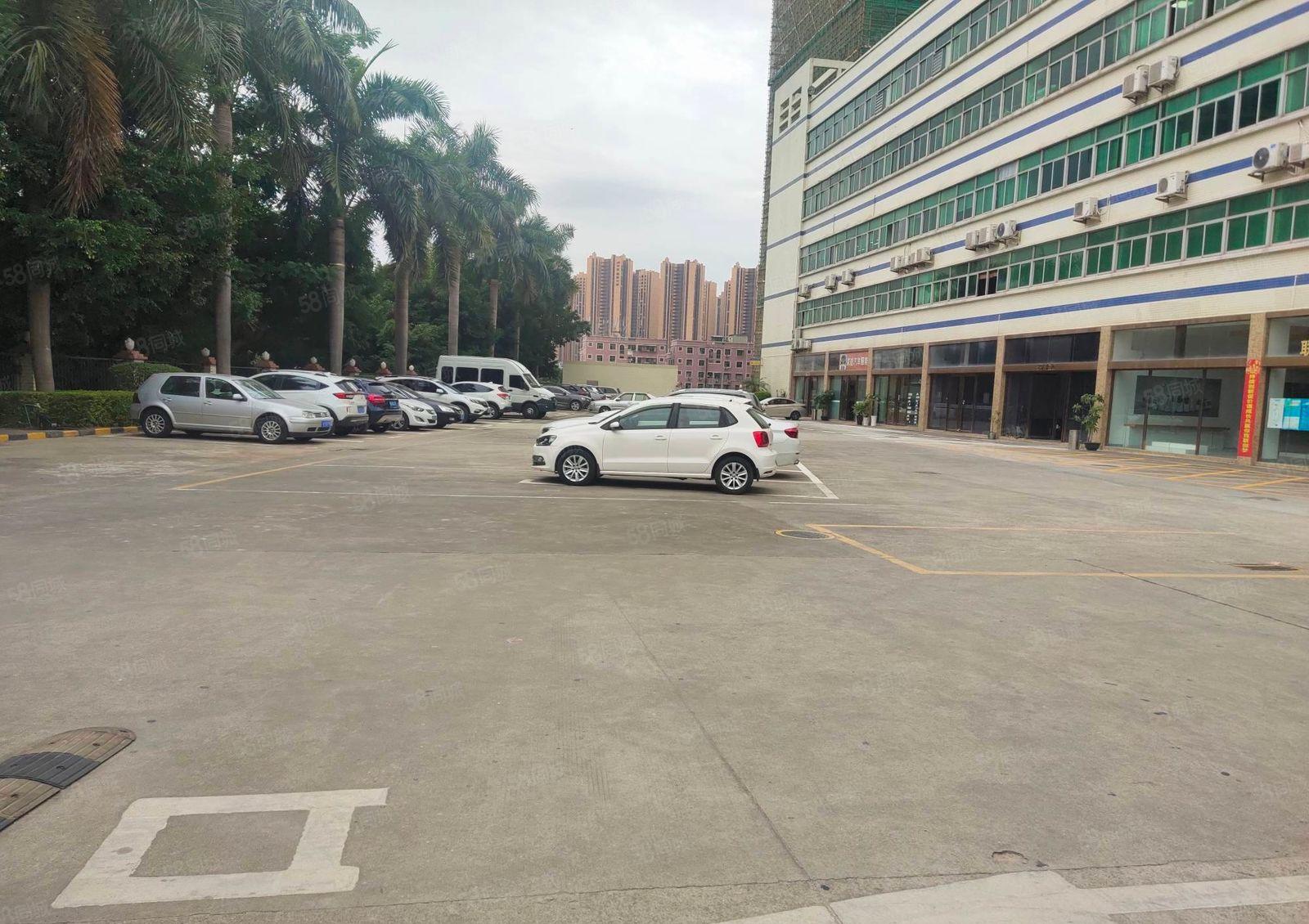 西丽一楼350平至5000平精装办公室电商仓库厂房出租