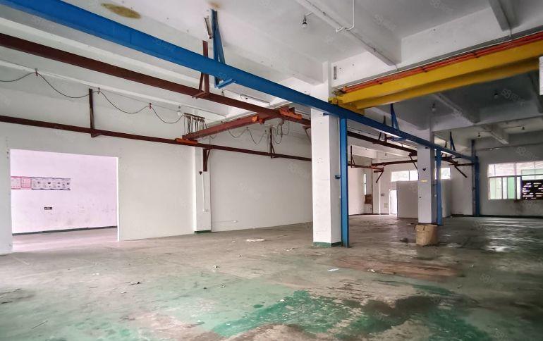 东莞塘厦一楼300平起分租2000平厂房出租低价分租仓库出租