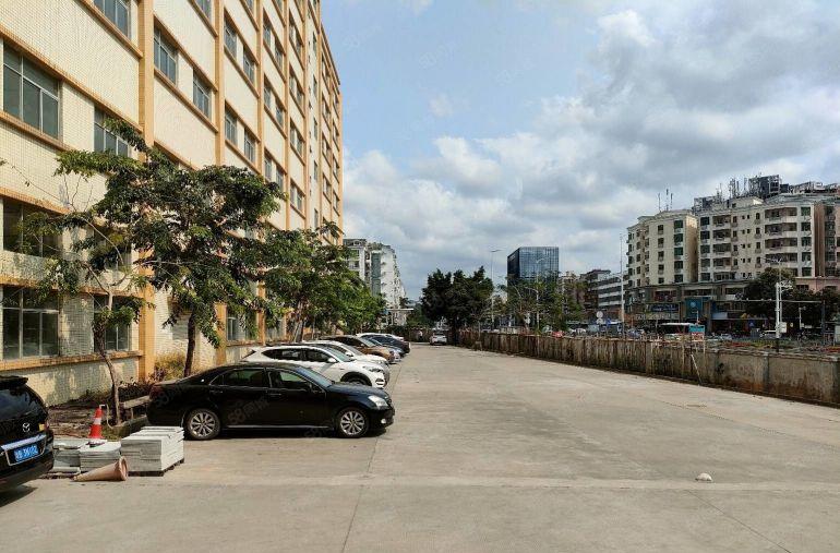 龙华主干道独院红本厂房出租5万平方共三栋适合教育培训展厅电商