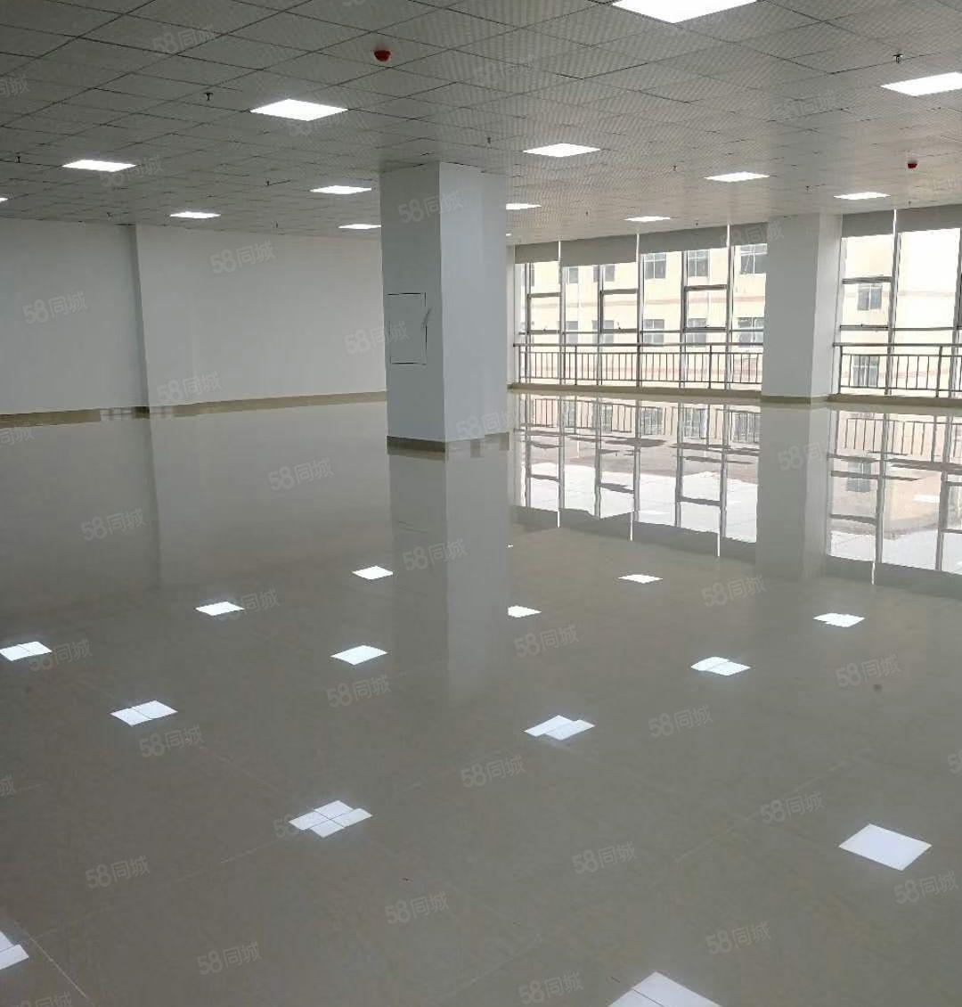 西丽阳光工业区300至1000平米办公研发厂房出租