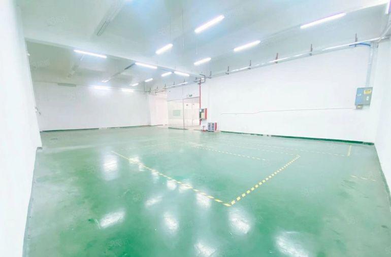 层高5米 南山西丽大学城有一楼700平 可以分一半