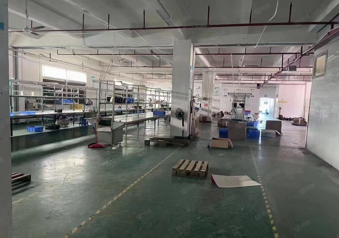 原房东，无公摊，石岩塘头独院10000平方5层厂房出租