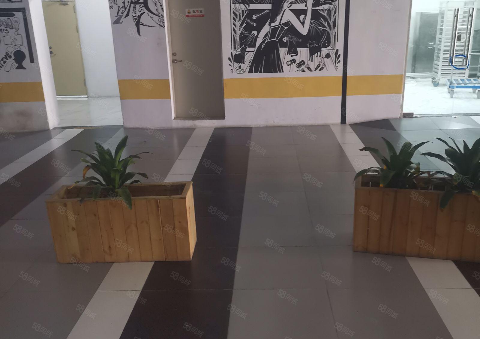 深圳厂房，底价厂房，房东厂房业主厂房