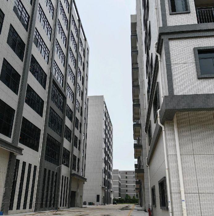 惠州市仲恺区沥林镇狄嘉工业产业园