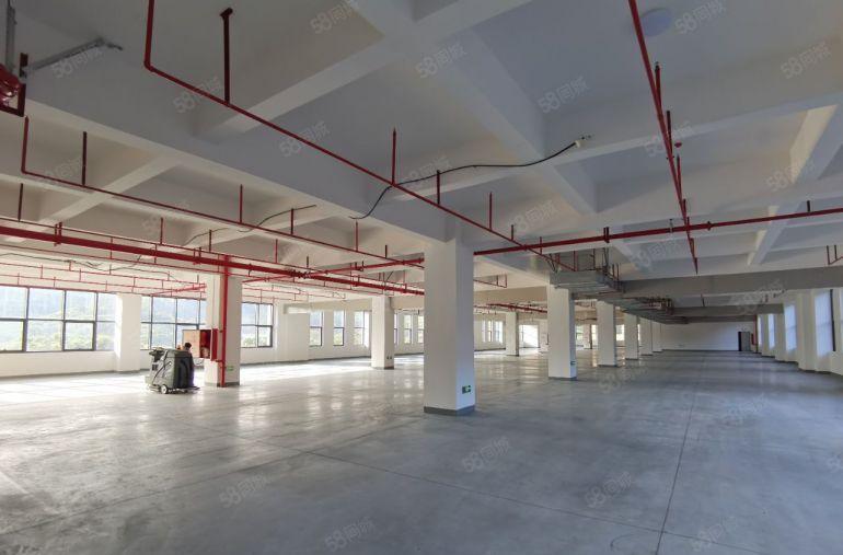 23块牛湖高速出口厂房出租含税含管理费开发商直租870平起租