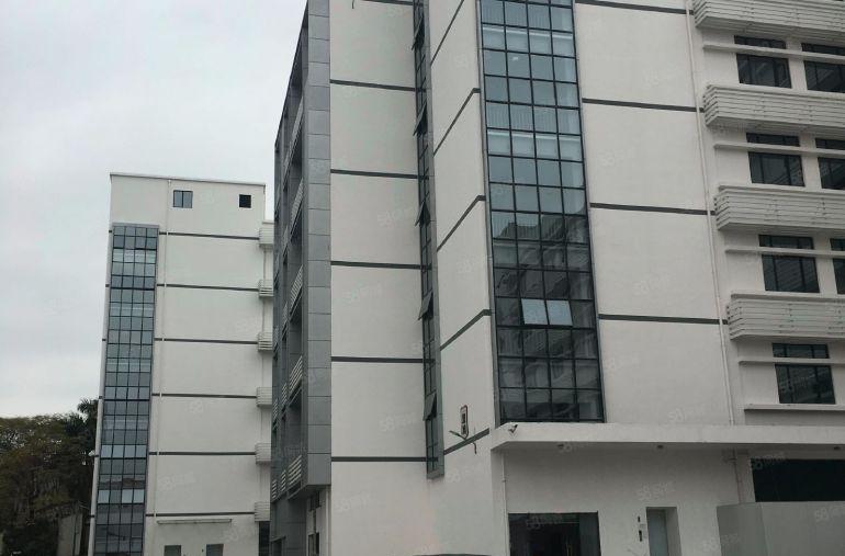 西丽龙珠大道产业园一楼650平招租，不限制行业