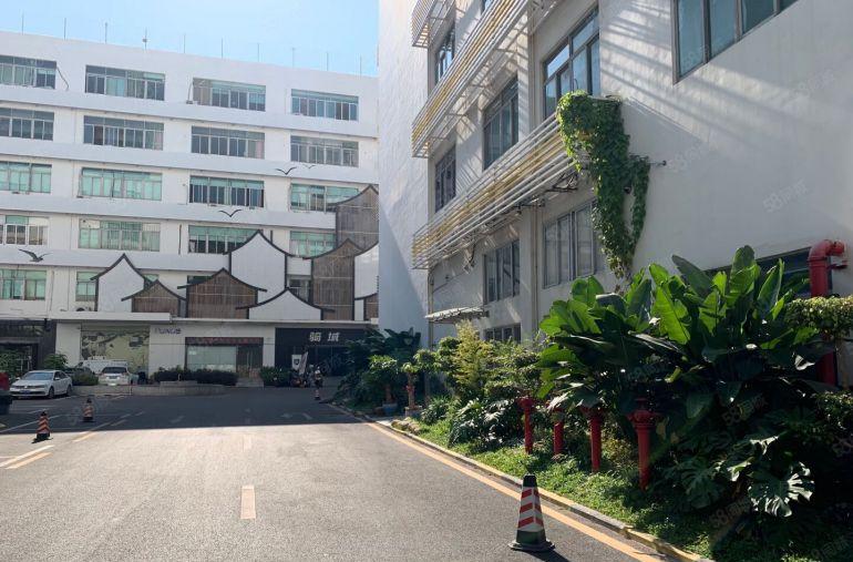 南山西丽留仙洞文化产业园整层1800平豪华装修，即租即用