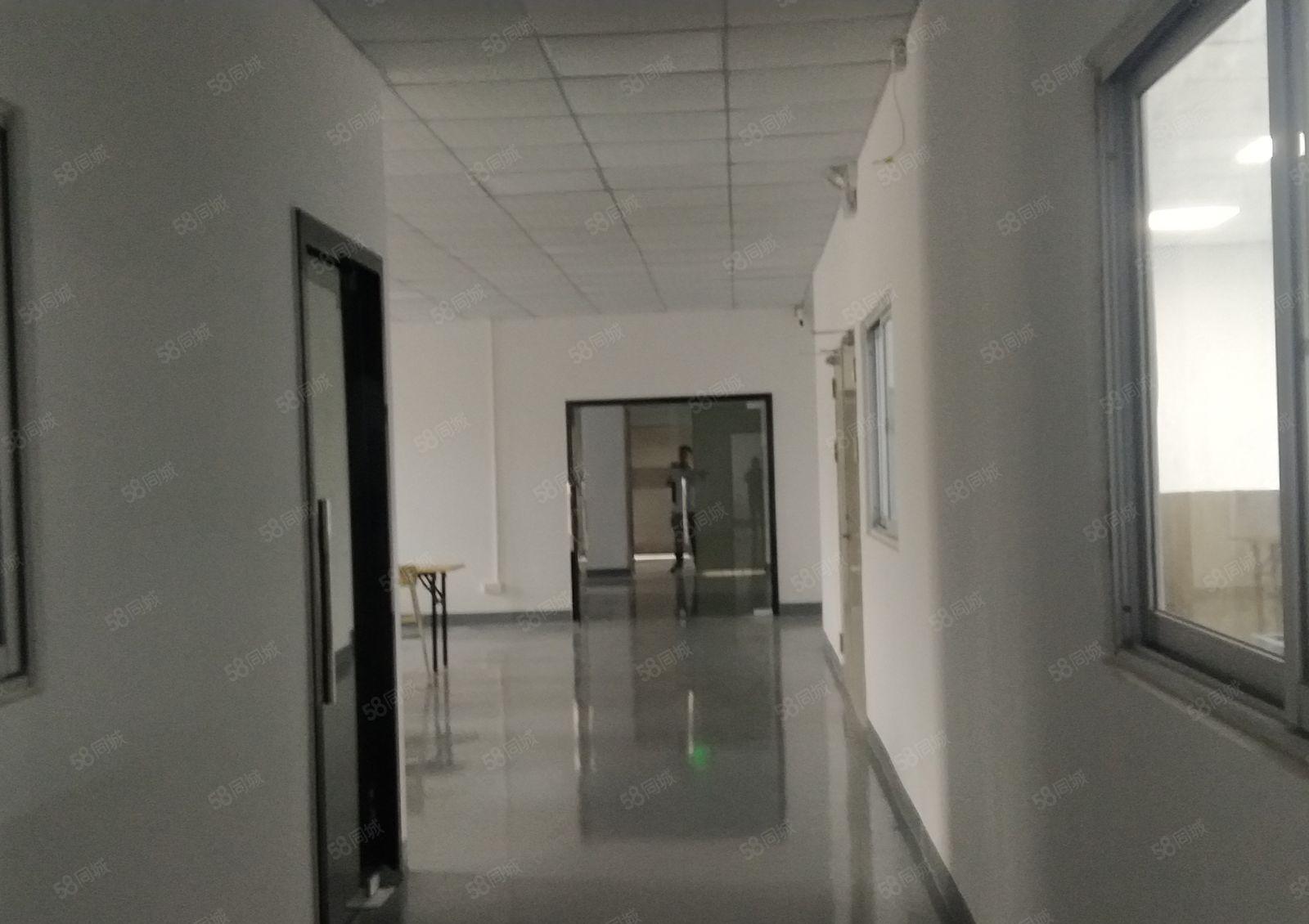 秒租，原房东西丽百旺工业区楼上450平方精装修厂房出租，拎包