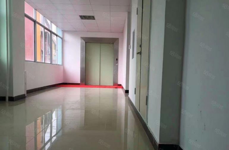 南山 西丽 新出精装修办公室厂房400平电商仓库可分租