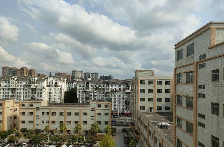 龙华主干道独院红本厂房出租5万平方共三栋适合教育培训展厅电商