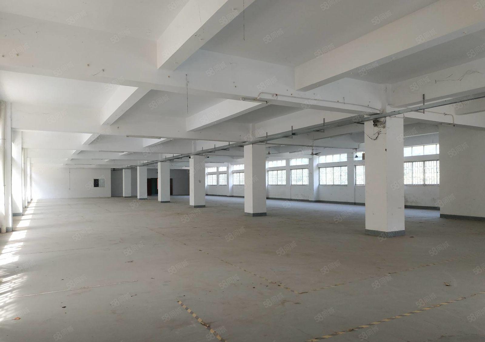 南山西丽 大磡工业区新出1500平厂房直租 带卸货平台