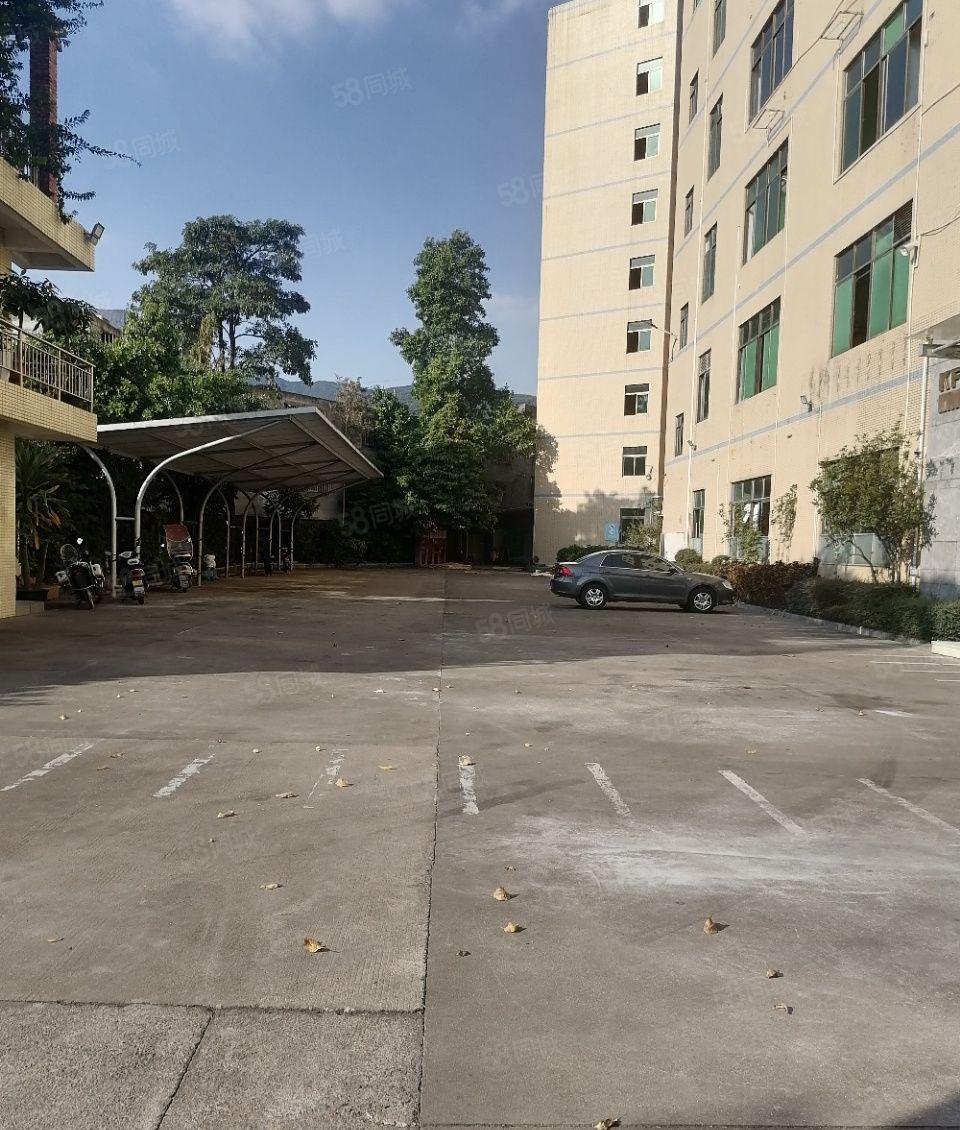 南山独门独院6层独栋2万平低价厂房出租实际面积无公摊