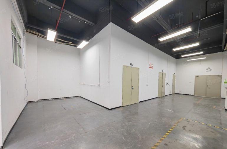 西丽一楼层高5米 三相电 研发办公 展厅 电商 科技 培训