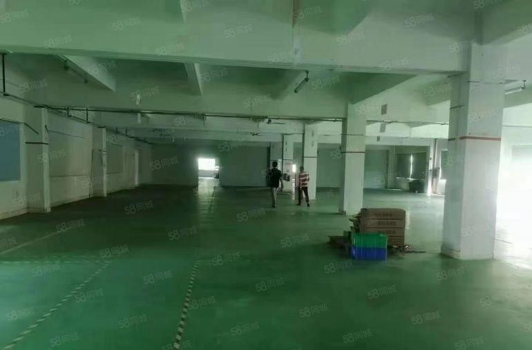 福永新出一二楼1000平至5000平厂房仓库出租独院大小分租