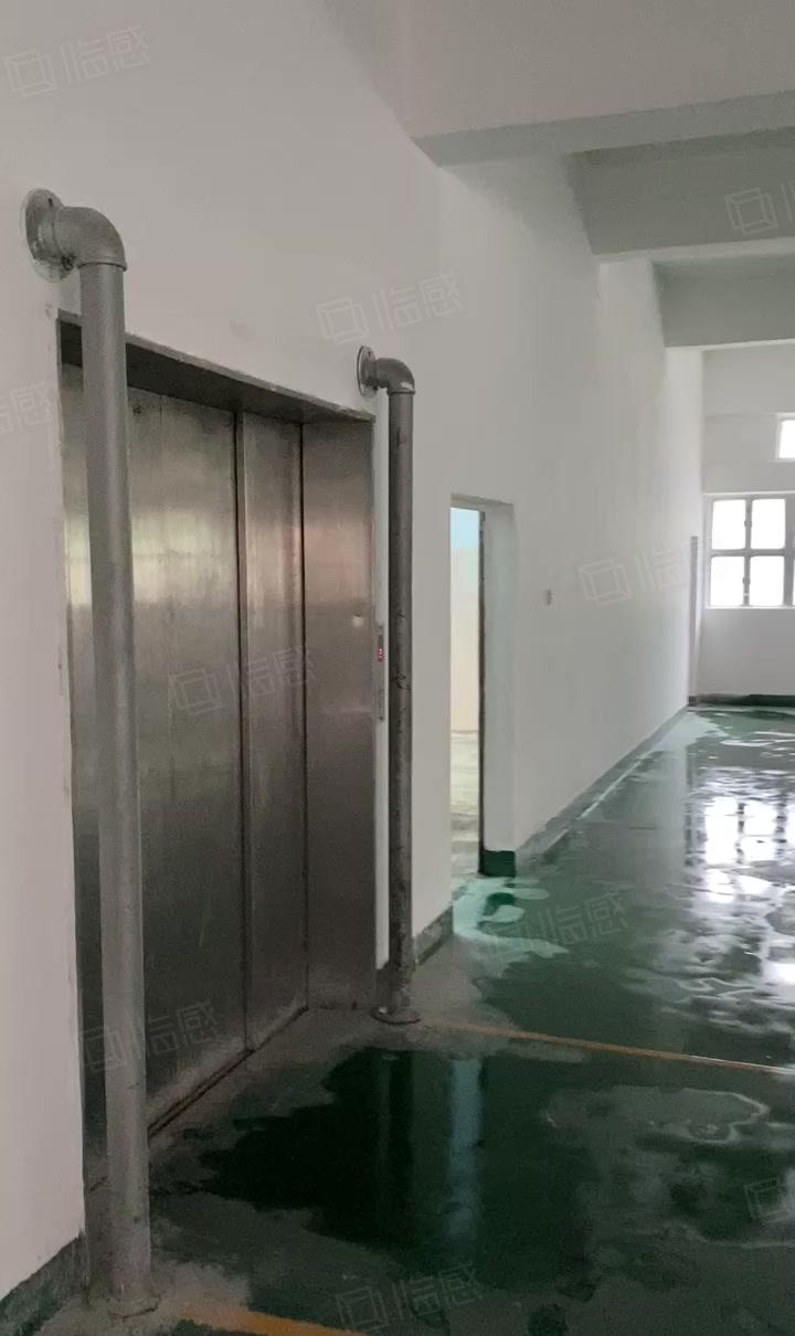 塘头恩斯麦花园式厂房2200平 独立红本 3吨货梯 超大空大