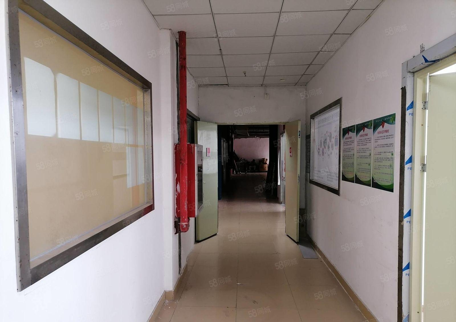 物业直租南山300平物流仓库，适合递物流，配送，食品饮品批发