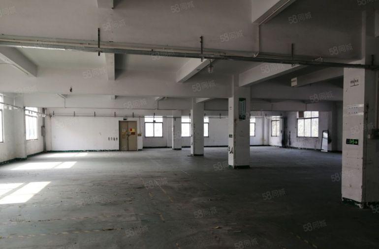 南山  西丽  独门独院招租 整栋四层面积4800平