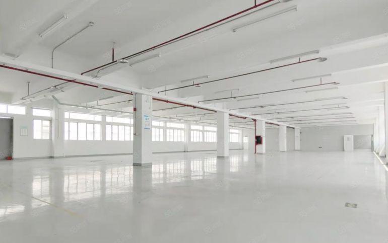 喷淋齐全光线好 厂房仓库办公物业直租 1570平带装修