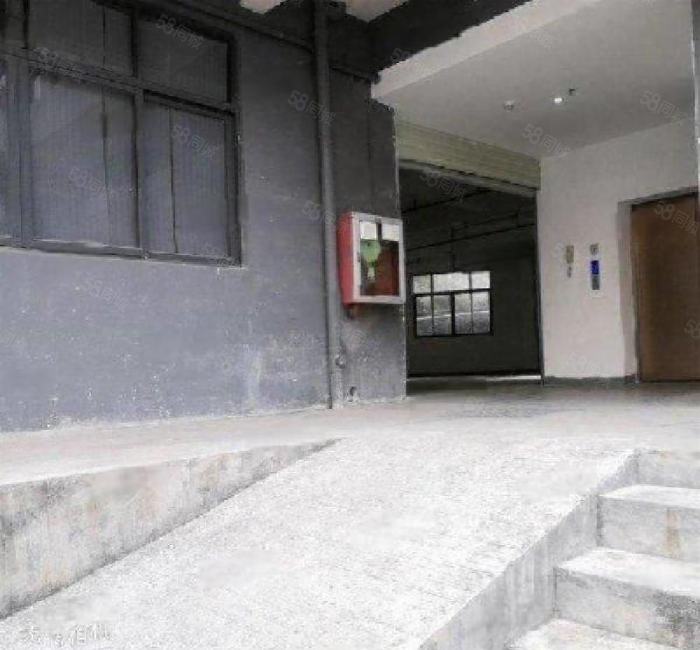 南山西丽创意园320平装修 一楼1100平350平带卸货平台