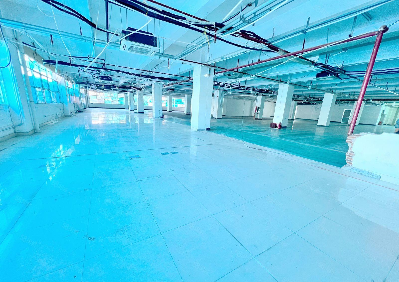 一手直租南山西丽百旺大型工业区 2000平 方正采光好