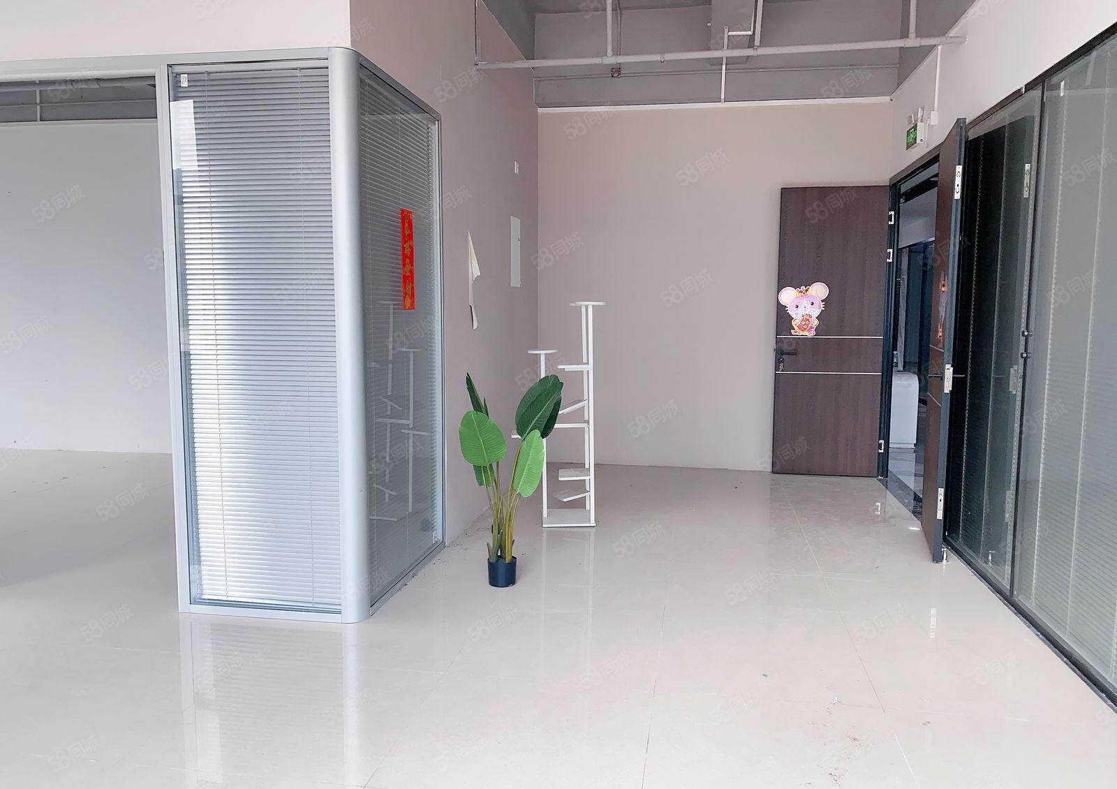蛇口医院旁边 160平米仓库办公室出租 55元一平米带装修