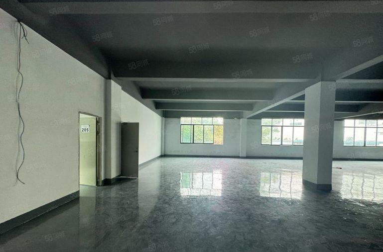 物业直降福田可定制装修200平起厂房出租 园区仓库大小面积出