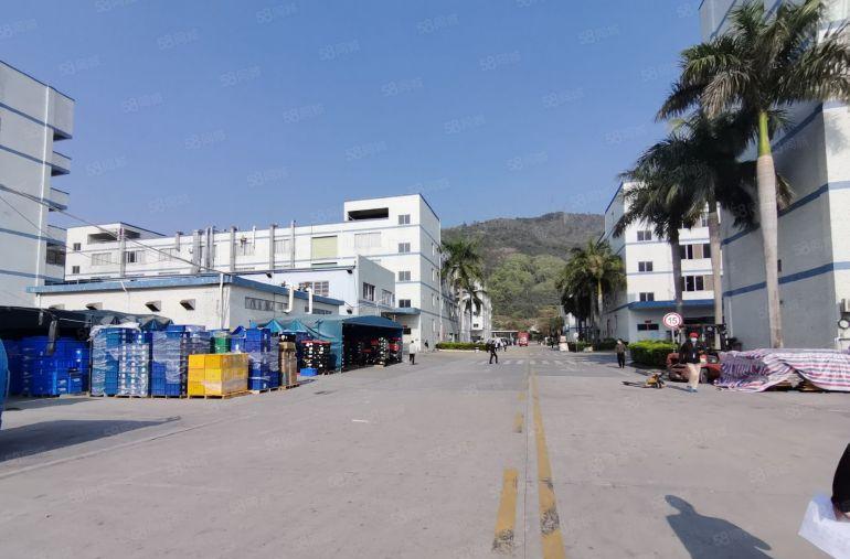 龙华观澜科技园2000平方精装修厂房出租大小可分租