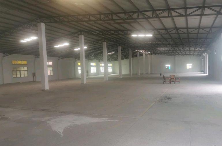 坪山区独门独院单层钢结构厂房3800平方米招租