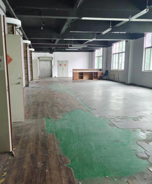 出租龙岗平湖山厦杉坑工业区B20栋、21栋厂房