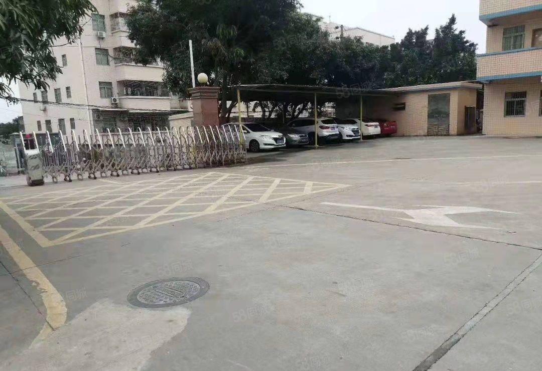 石岩汽车站大型物流园一楼钢构厂房1750平高10米300起租