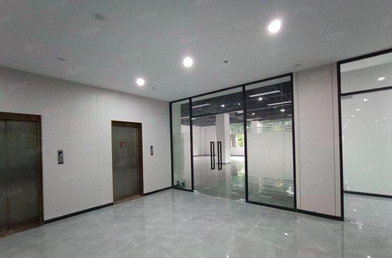 南山西丽大型园区楼上200平起租精装修电商办公仓库厂房出租