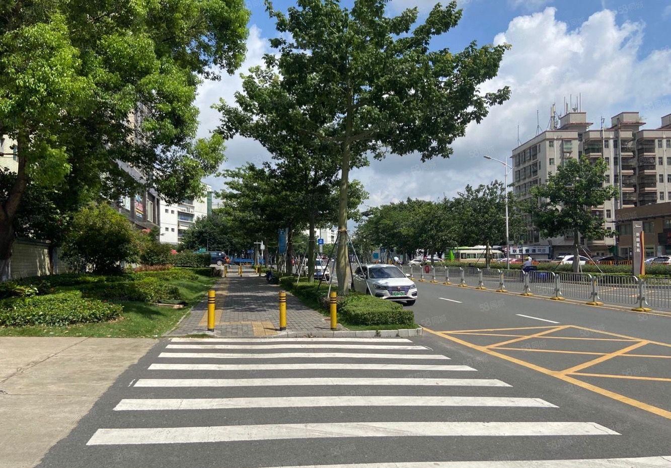 龙华观澜1.25万平方独门独院原房东8成使用率仓库厂房出租