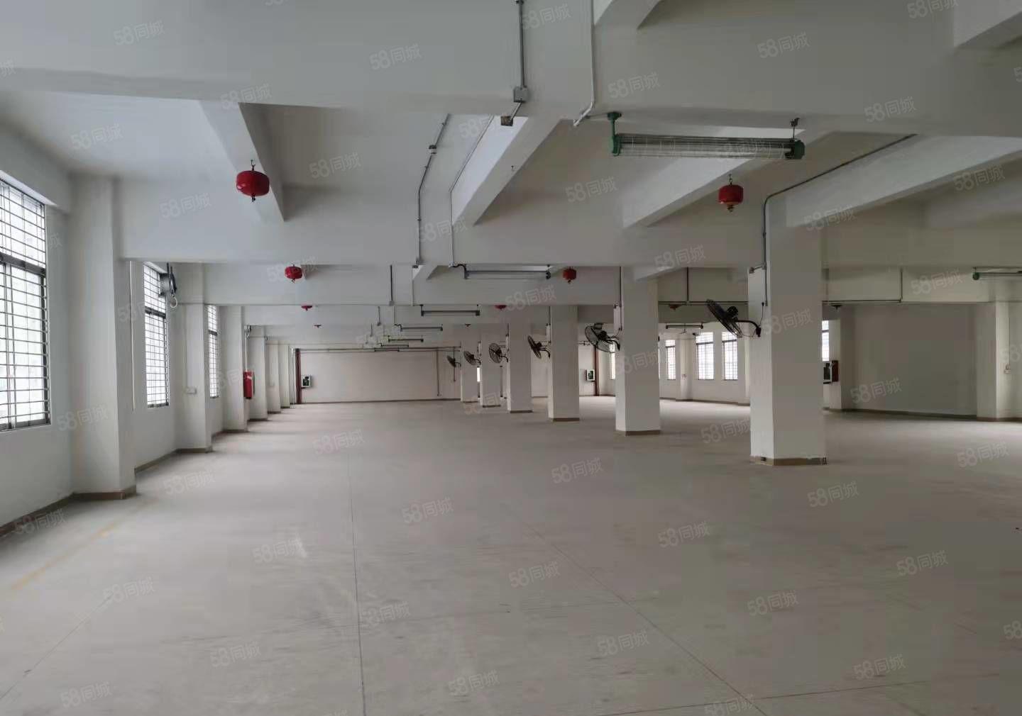 原房东独门独院每层1716平可分租，加工仓储办公等价格好谈