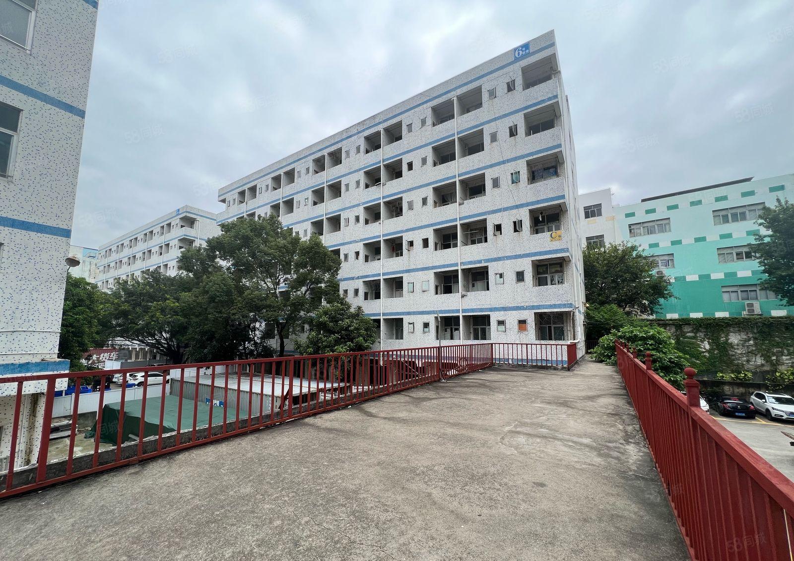 盐田附近大量宿舍楼出租50间100间带家私低价出租工程项目部