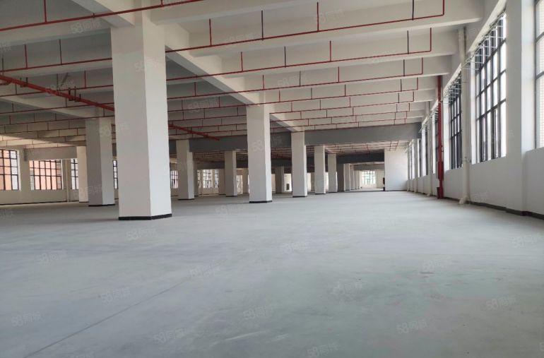 西丽 国资园区厂房出租500平至8000平 无公摊大小出租