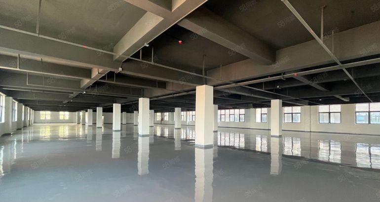 南山蛇口厂房200道2000平出租大小面积可分45元起可生产