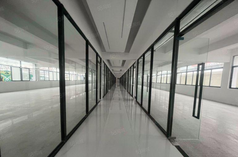 罗湖草埔厂改办公2000平可定制装修不限行业原房东出租