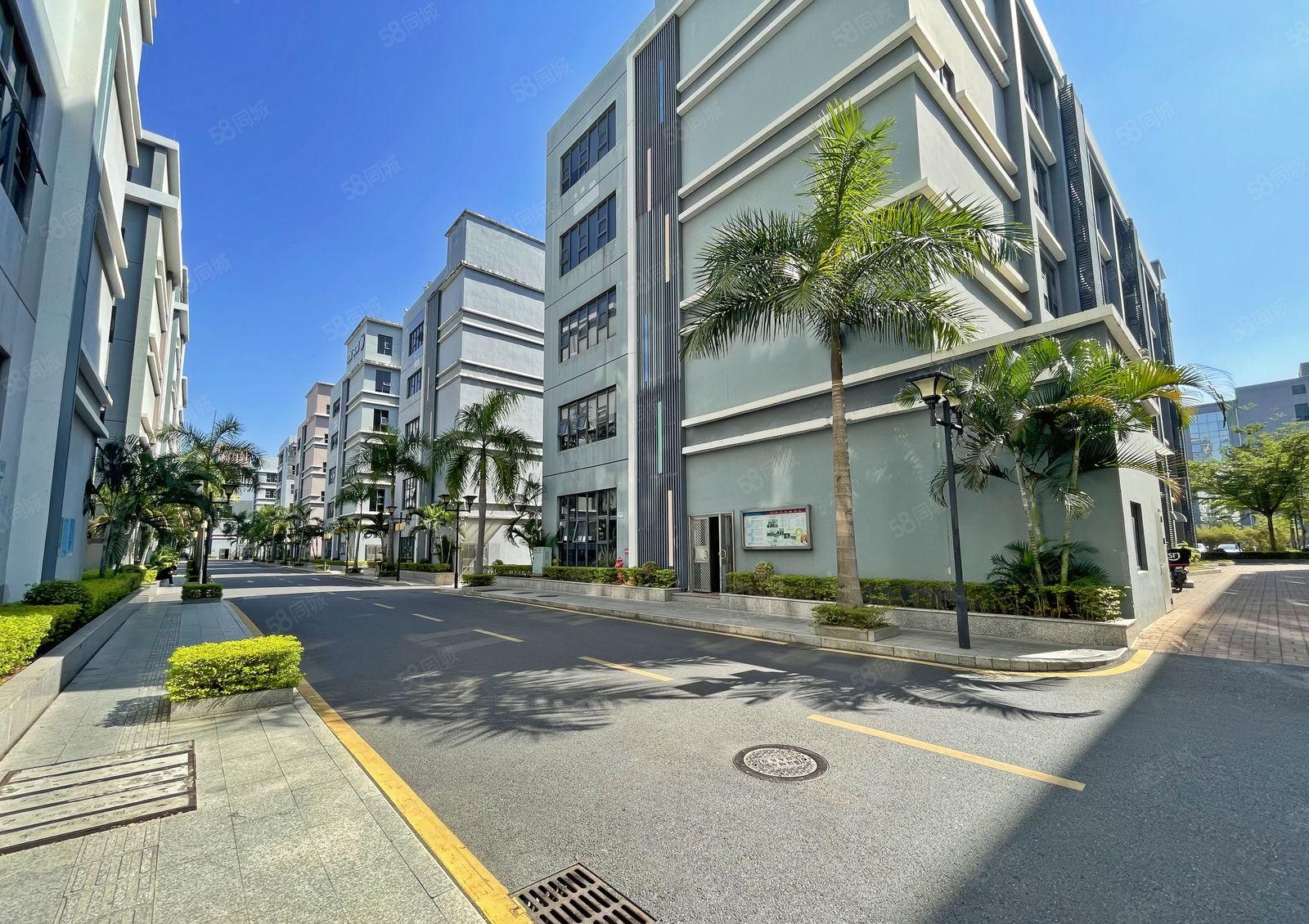 南山区 一楼整层540平方 采光很棒 研发 办公