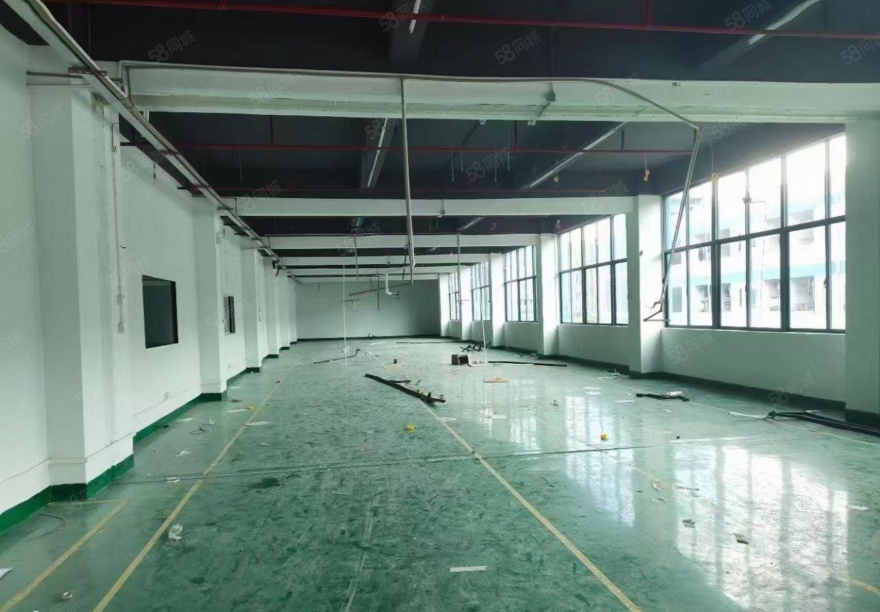 白芒关口2楼2890平米原房东带装修厂房出租