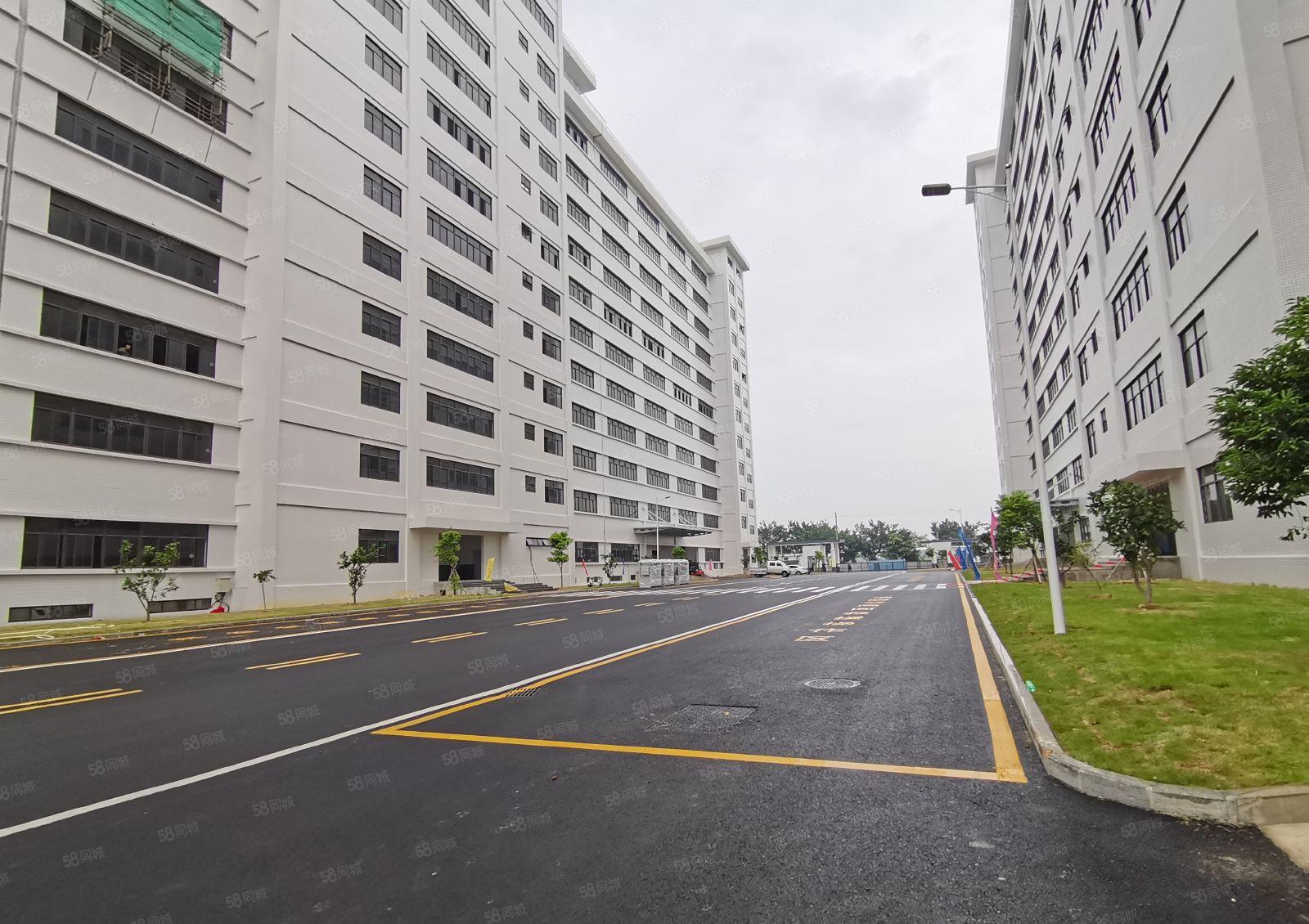 坪山原房东 全新厂房出租200平分 5百1千5千任意分租