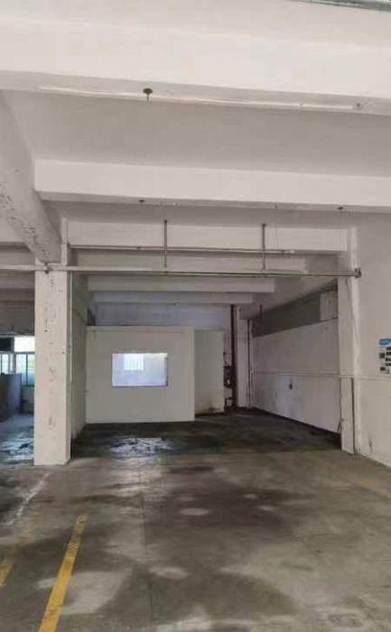 一手直租宝安松岗一楼标准厂房（非中介）