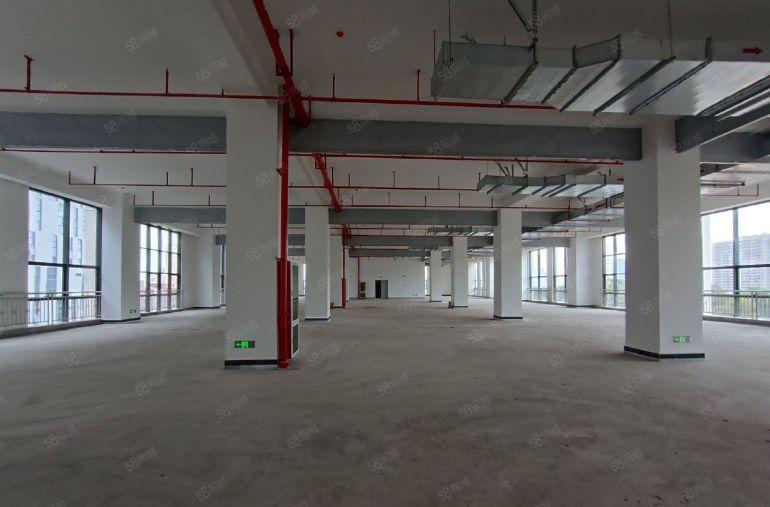 企业总部原房东龙华大浪工业园8800平全新厂房仓库出租