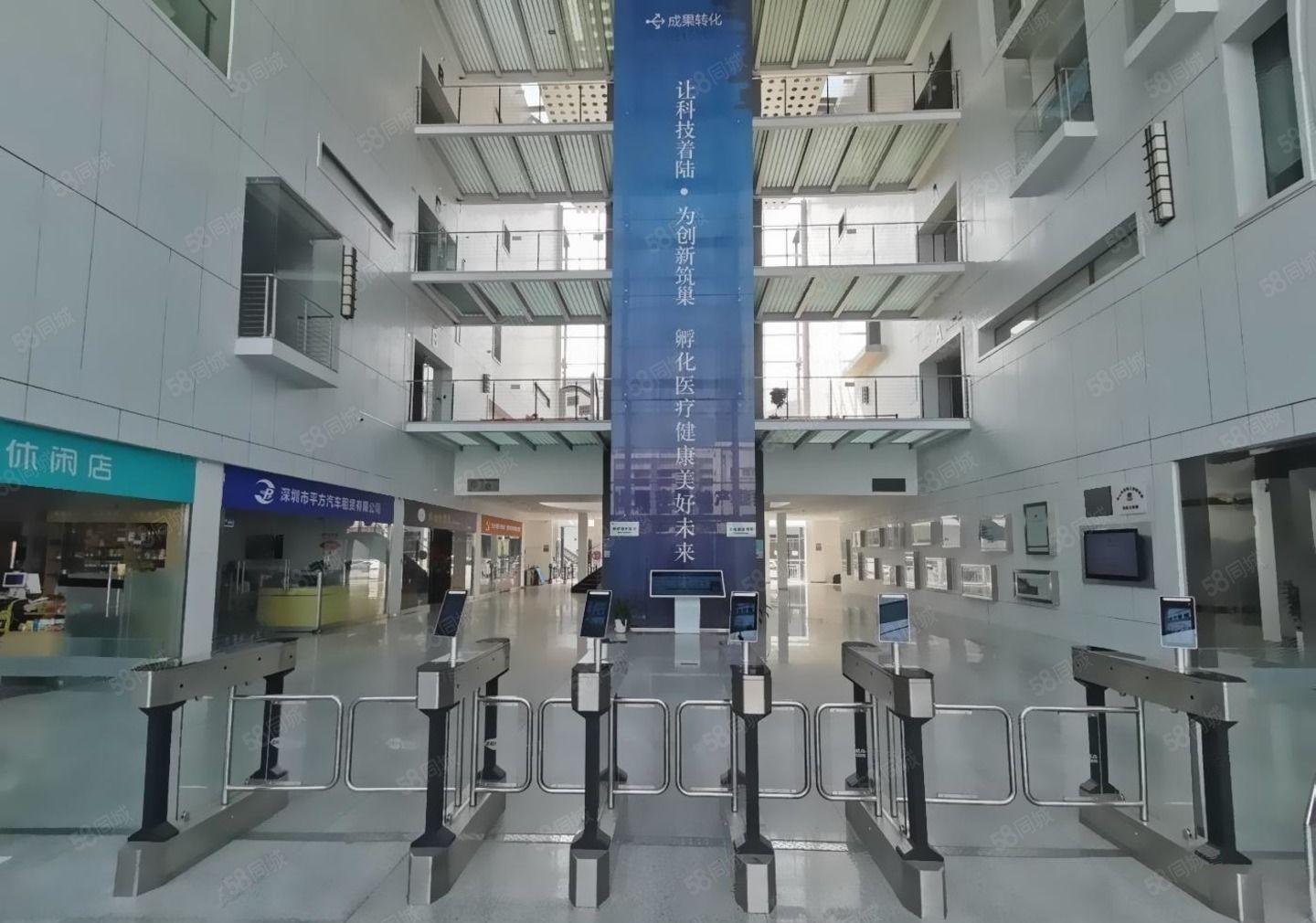 蛇口海上世界一楼769平临街商铺展厅，教育，摄影，直播