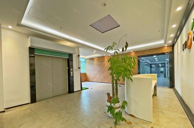 南山西丽 现成电商直播整层1250平方33元平 行业不限