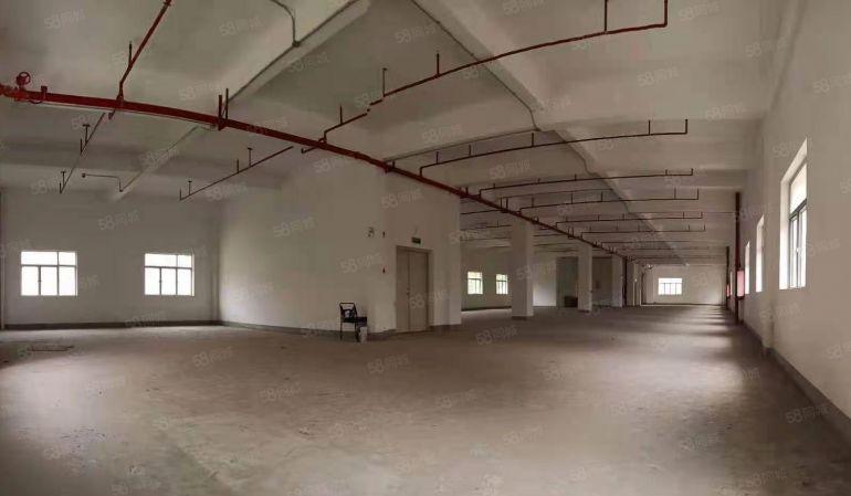 龙华主干道独院红本厂房出租5万平方共三栋适合教育培训展厅电商