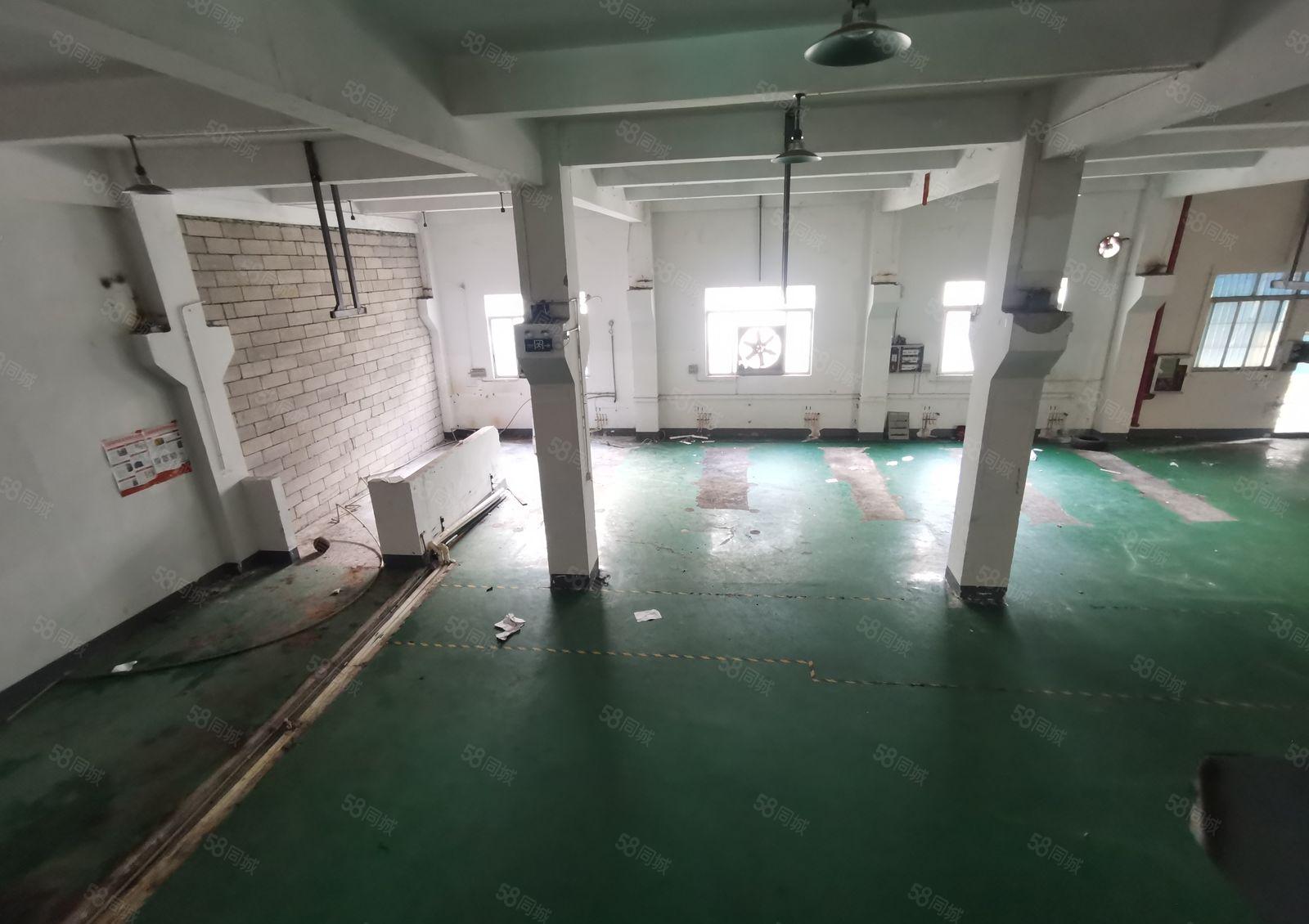 大园区一楼580平，现成办公室，带装修！