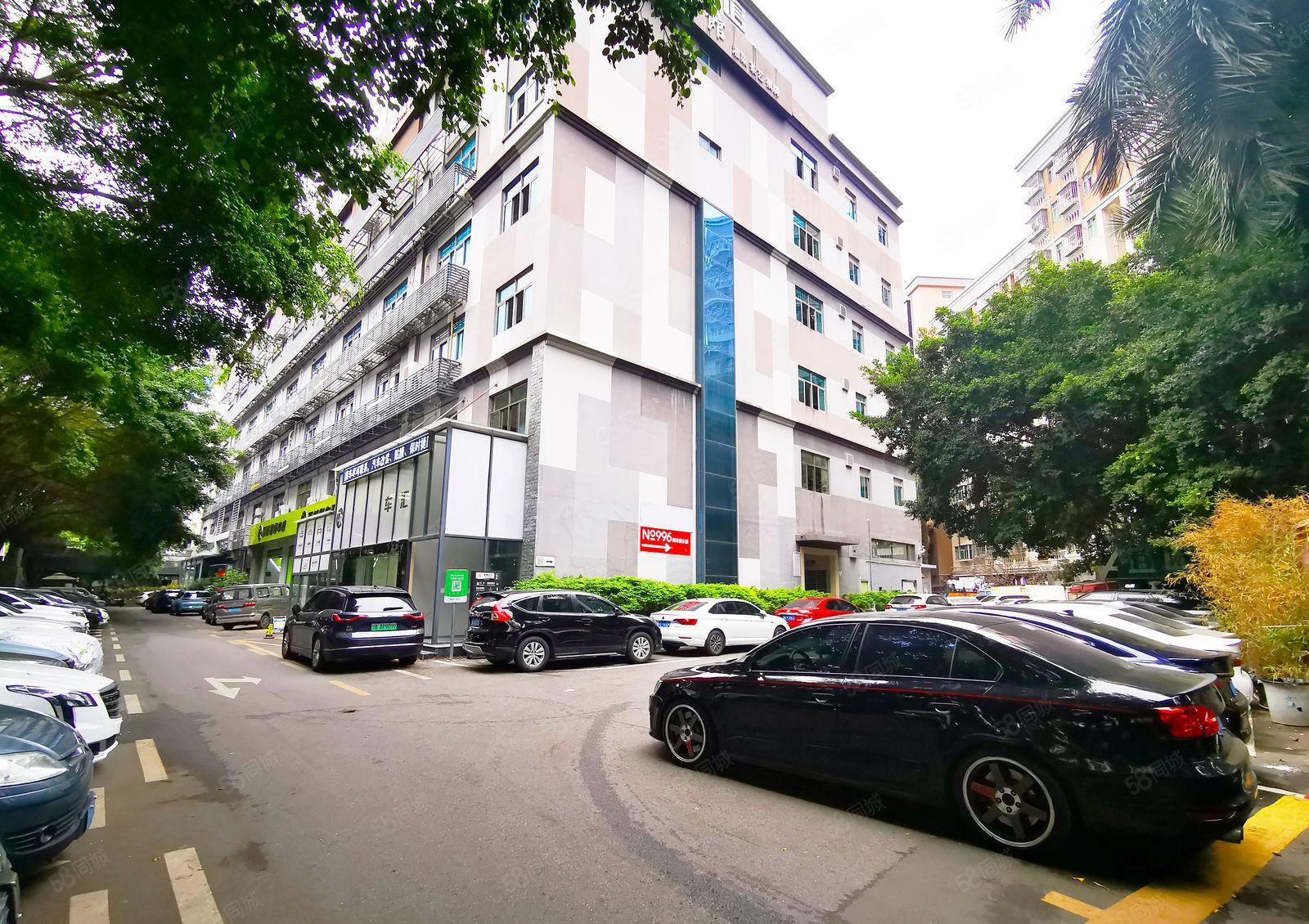 南山主干道边上 独院厂房2200平米 22个隔间精装修