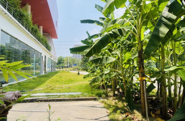 200平起南山地铁口原房东3千精装修办公室仓库厂房出租可分租